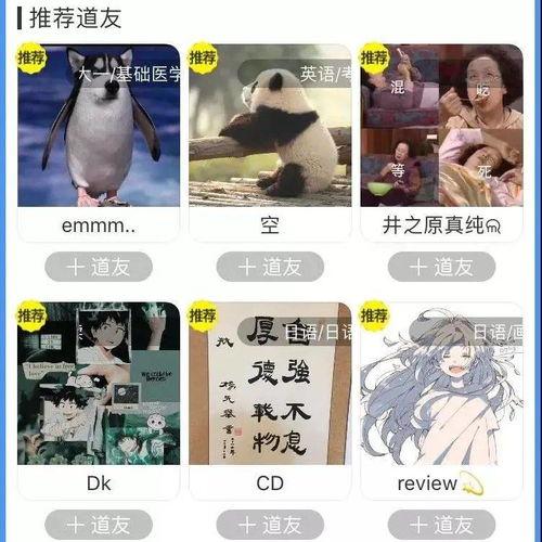 成人篇在线观看视频,揭秘成人世界的真实面貌