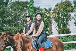 韩国成人骑马视频,探寻东方马术文化的魅力瞬间